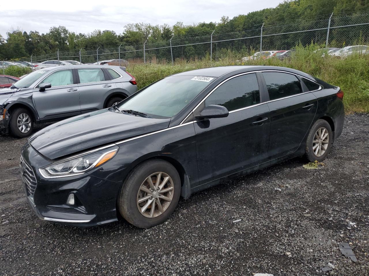 Lot #2979473811 2019 HYUNDAI SONATA SE