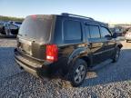 Lot #3024823358 2011 HONDA PILOT EXL