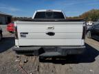 Lot #2954734409 2013 FORD F150 SUPER