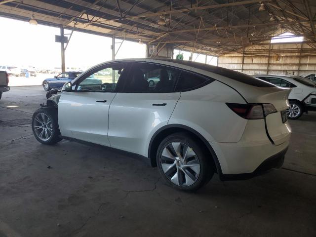 2023 TESLA MODEL Y - 7SAYGDEE3PA201638