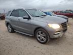 MERCEDES-BENZ ML 350 photo