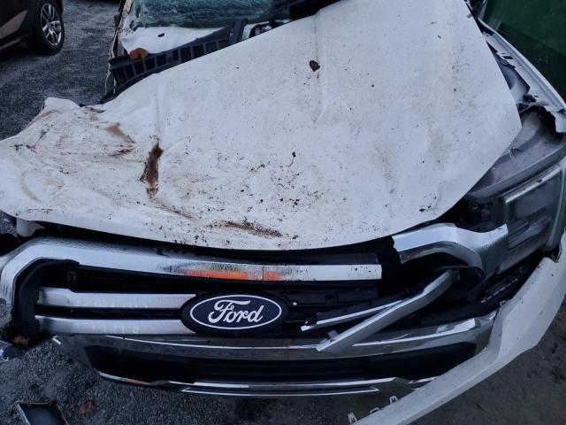 2024 FORD F150 LARIA - 1FTFW5L51RFA64717