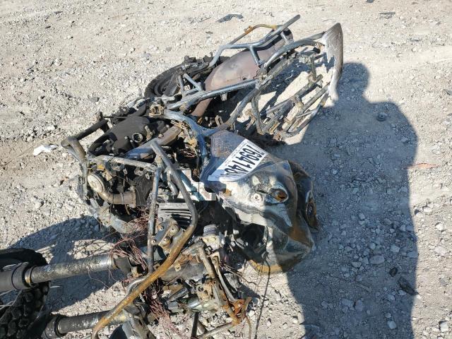 2024 KAWASAKI KL650 H - ML5KLEH10RDA33867