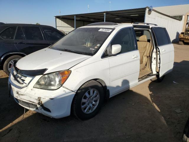 HONDA ODYSSEY EX