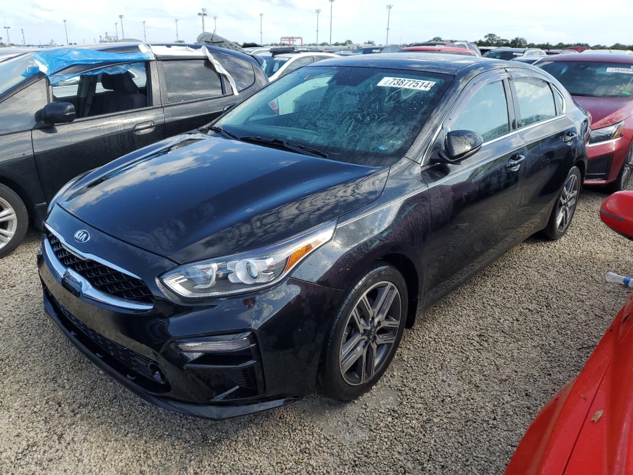 Lot #2993067482 2021 KIA FORTE EX