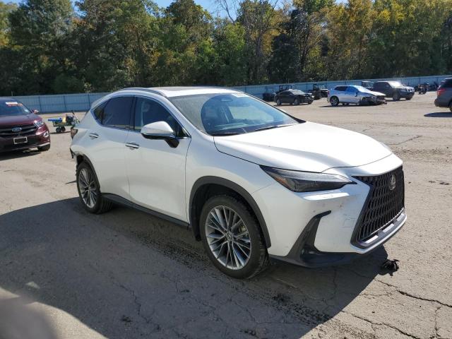 VIN 2T2HGCEZXNC008042 2022 Lexus NX, 350 no.4