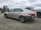 TOYOTA CAMRY LE photo