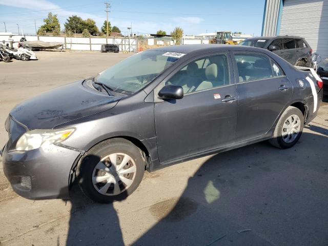 Global Auto Auctions: 2009 TOYOTA COROLLA BA