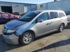 HONDA ODYSSEY EX photo