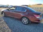 HONDA ACCORD EXL photo