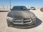 DODGE CHARGER SE photo