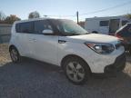 KIA SOUL photo