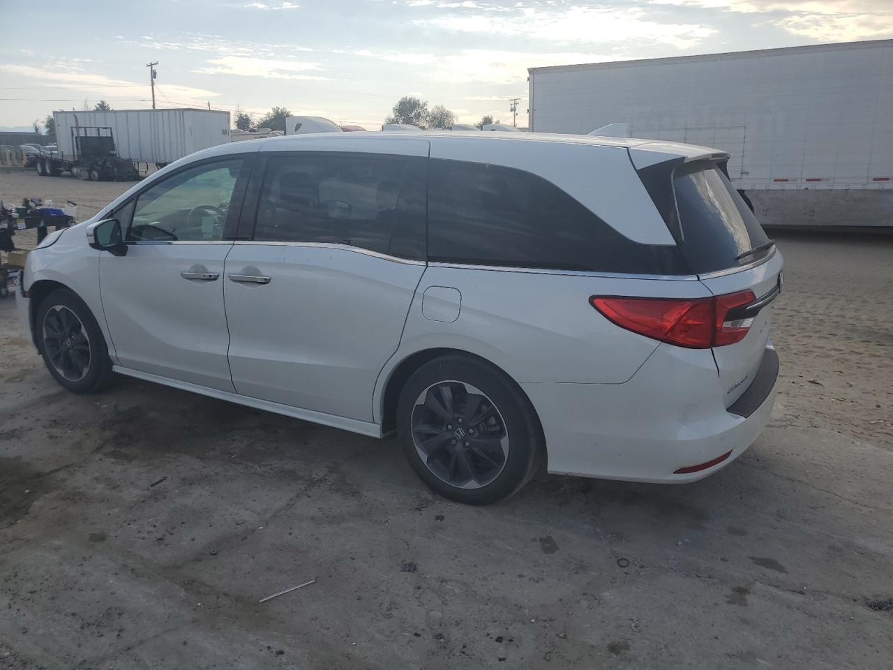 Lot #2986609308 2022 HONDA ODYSSEY EL