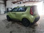 Lot #3006845574 2014 KIA SOUL +