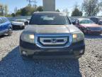 HONDA PILOT EXL photo