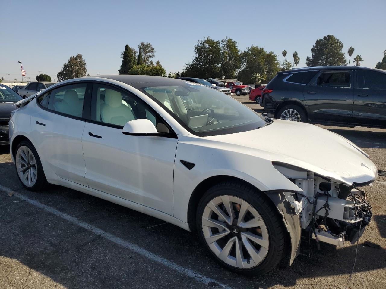 Lot #2976554559 2022 TESLA MODEL 3