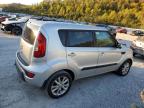 KIA SOUL + photo