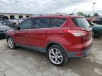 Lot #3023724893 2013 FORD ESCAPE TIT