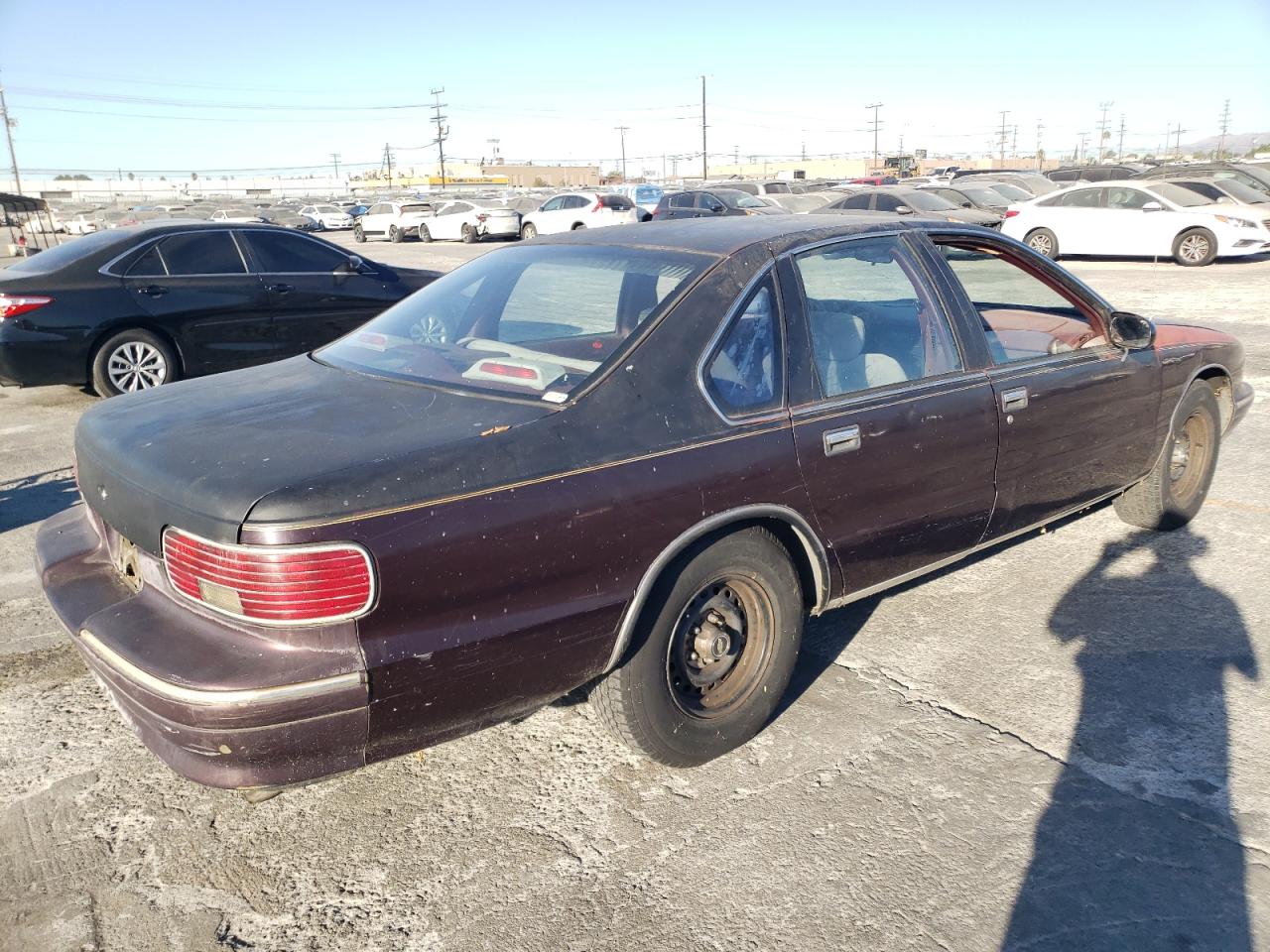 Lot #2923977937 1996 CHEVROLET CAPRICE /