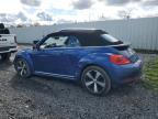 VOLKSWAGEN BEETLE TUR photo