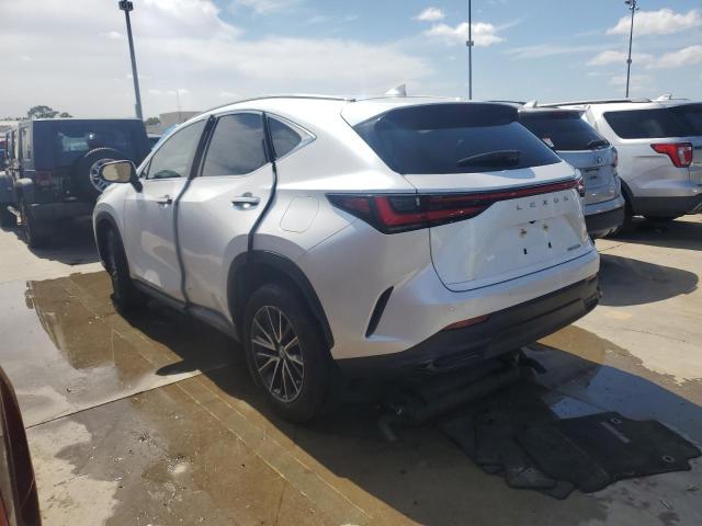 2024 LEXUS NX 250 PRE 2T2GDCAZ7RC007723