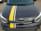 KIA SOUL photo