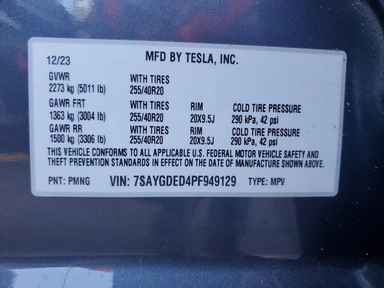 Lot #2986712353 2023 TESLA MODEL Y