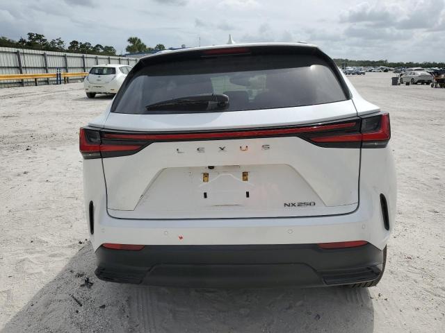2024 LEXUS NX 250 PRE 2T2GDCAZ2RC006253