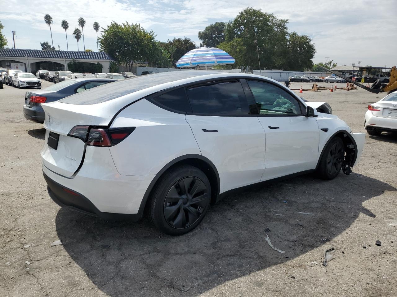 Lot #2986928760 2024 TESLA MODEL Y