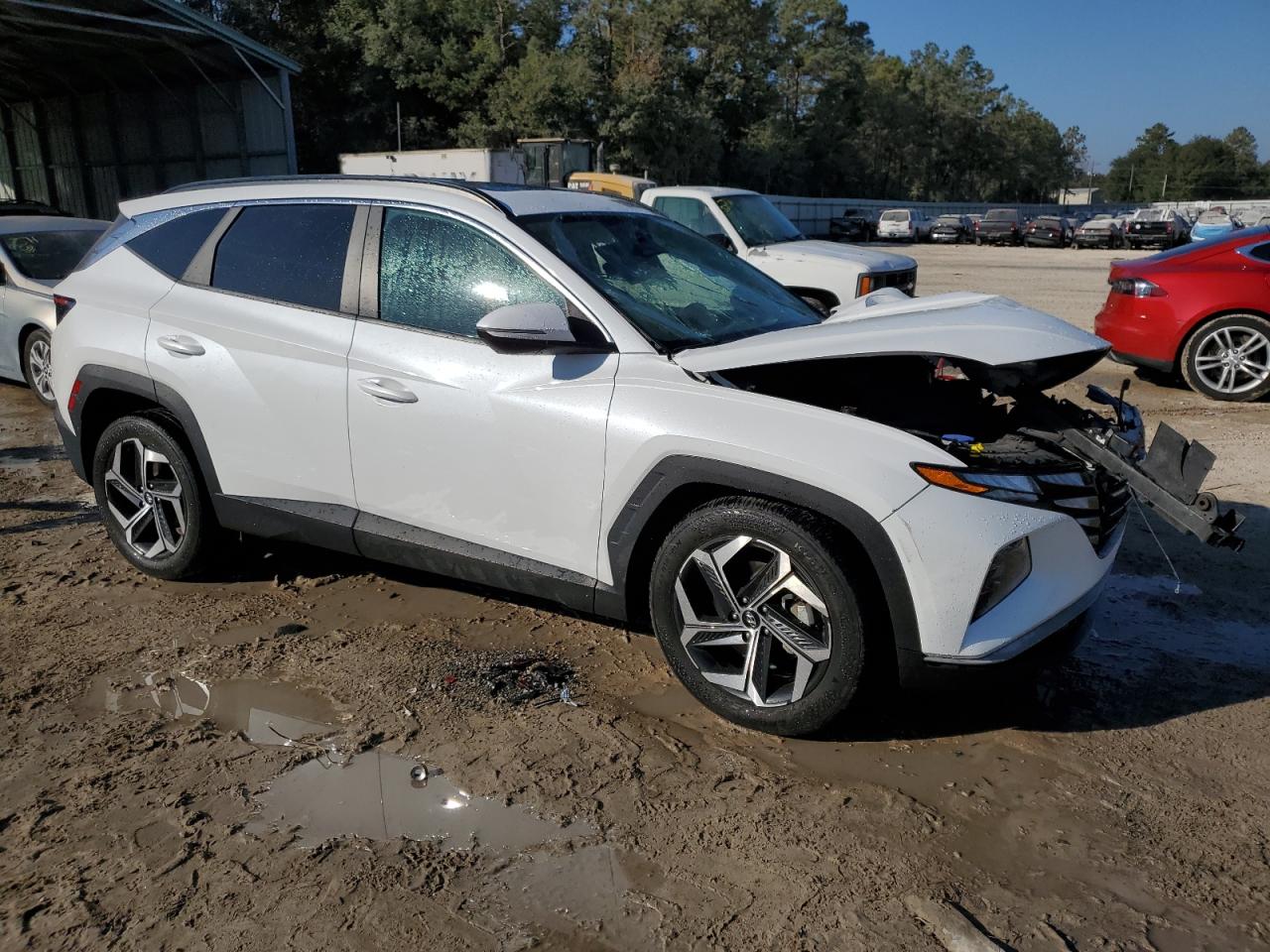 Lot #2979411678 2022 HYUNDAI TUCSON SEL