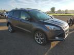 FORD ESCAPE TIT снимка