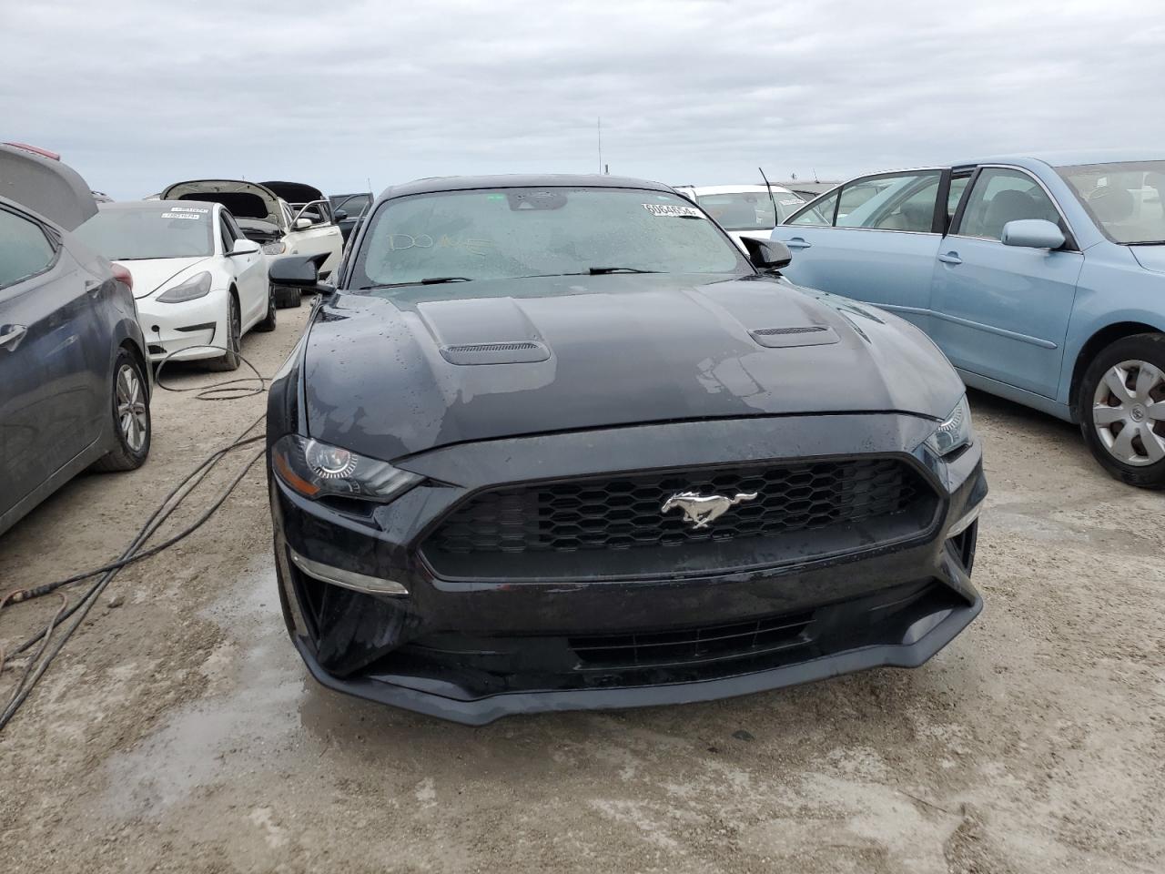 Lot #2976941868 2021 FORD MUSTANG