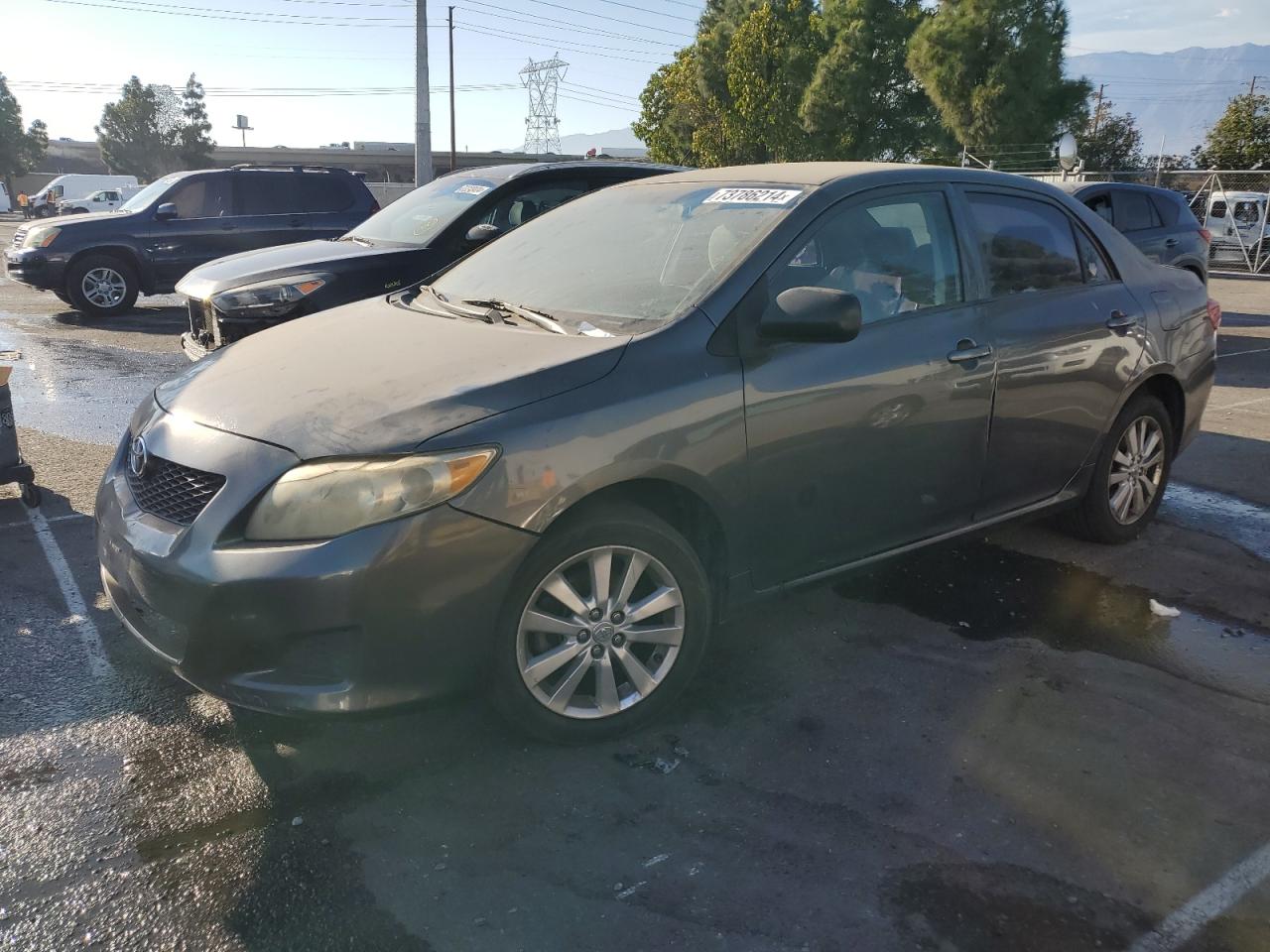 Lot #2872083155 2010 TOYOTA COROLLA BA