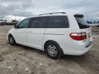 HONDA ODYSSEY EX photo