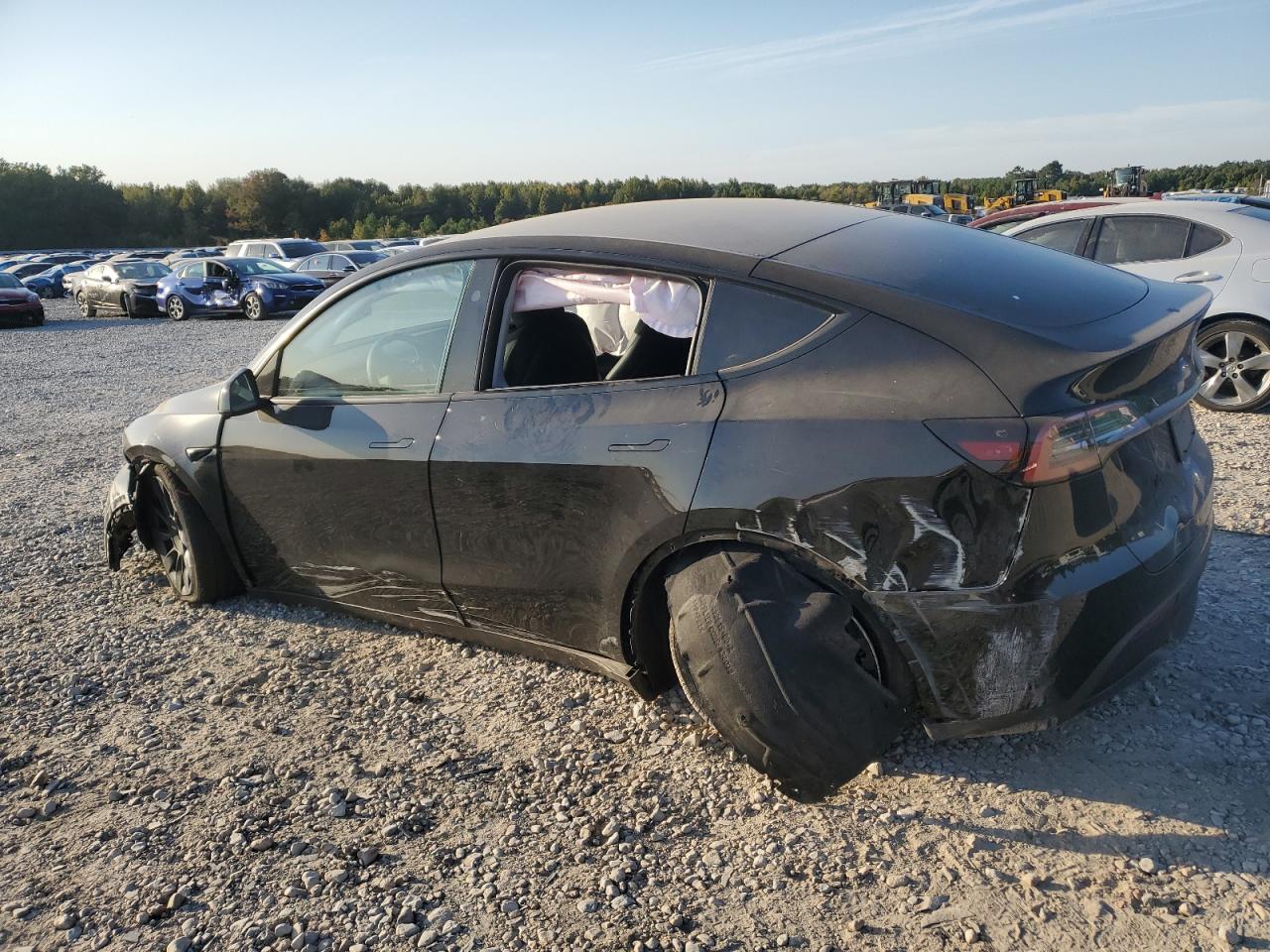 Lot #2990997187 2023 TESLA MODEL Y