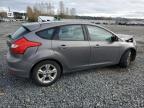 Lot #3027240293 2013 FORD FOCUS SE