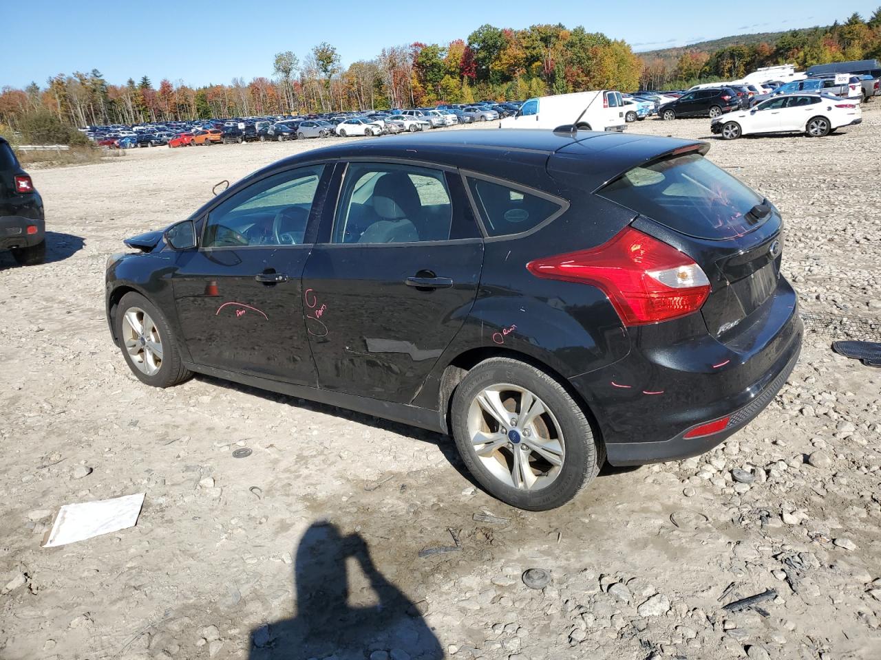 Lot #2945615087 2014 FORD FOCUS SE