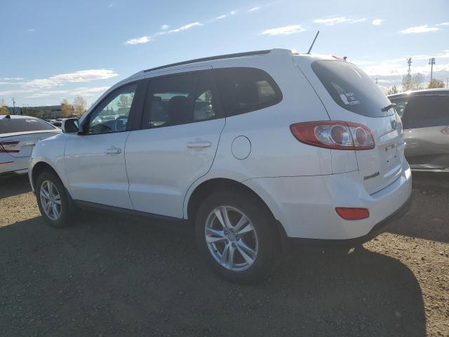 HYUNDAI SANTA FE G 2012 white 4dr spor gas 5XYZGDAB3CG096280 photo #3