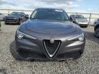 ALFA ROMEO STELVIO photo