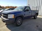 Lot #3023460279 2013 CHEVROLET SILVERADO