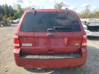 FORD ESCAPE XLT снимка