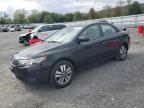 KIA FORTE EX photo