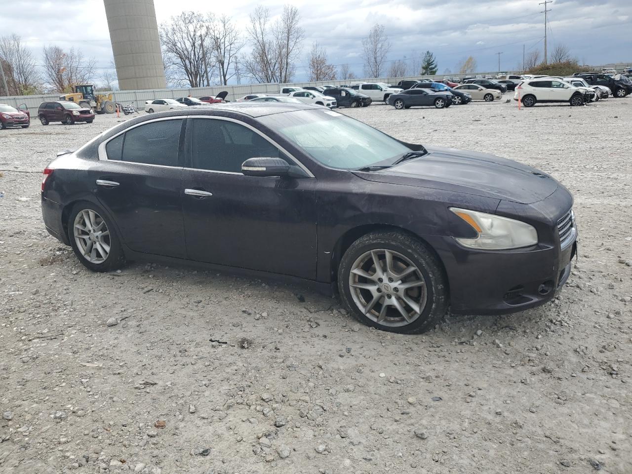 Lot #2952988383 2010 NISSAN MAXIMA S