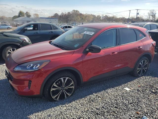 2022 FORD ESCAPE SE #2991677056