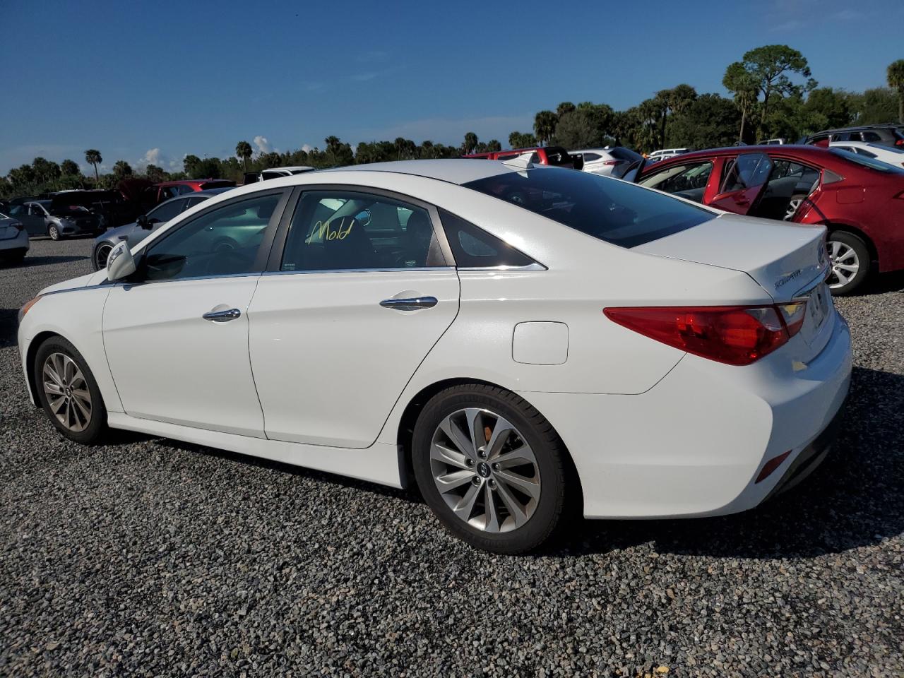 Lot #2885200949 2014 HYUNDAI SONATA SE