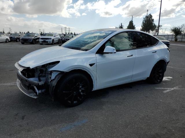 VIN 7SAYGDEE5PA081955 2023 TESLA MODEL Y no.1