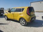 KIA SOUL + photo