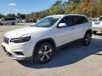 2019 JEEP CHEROKEE L - 1C4PJMDN8KD158395