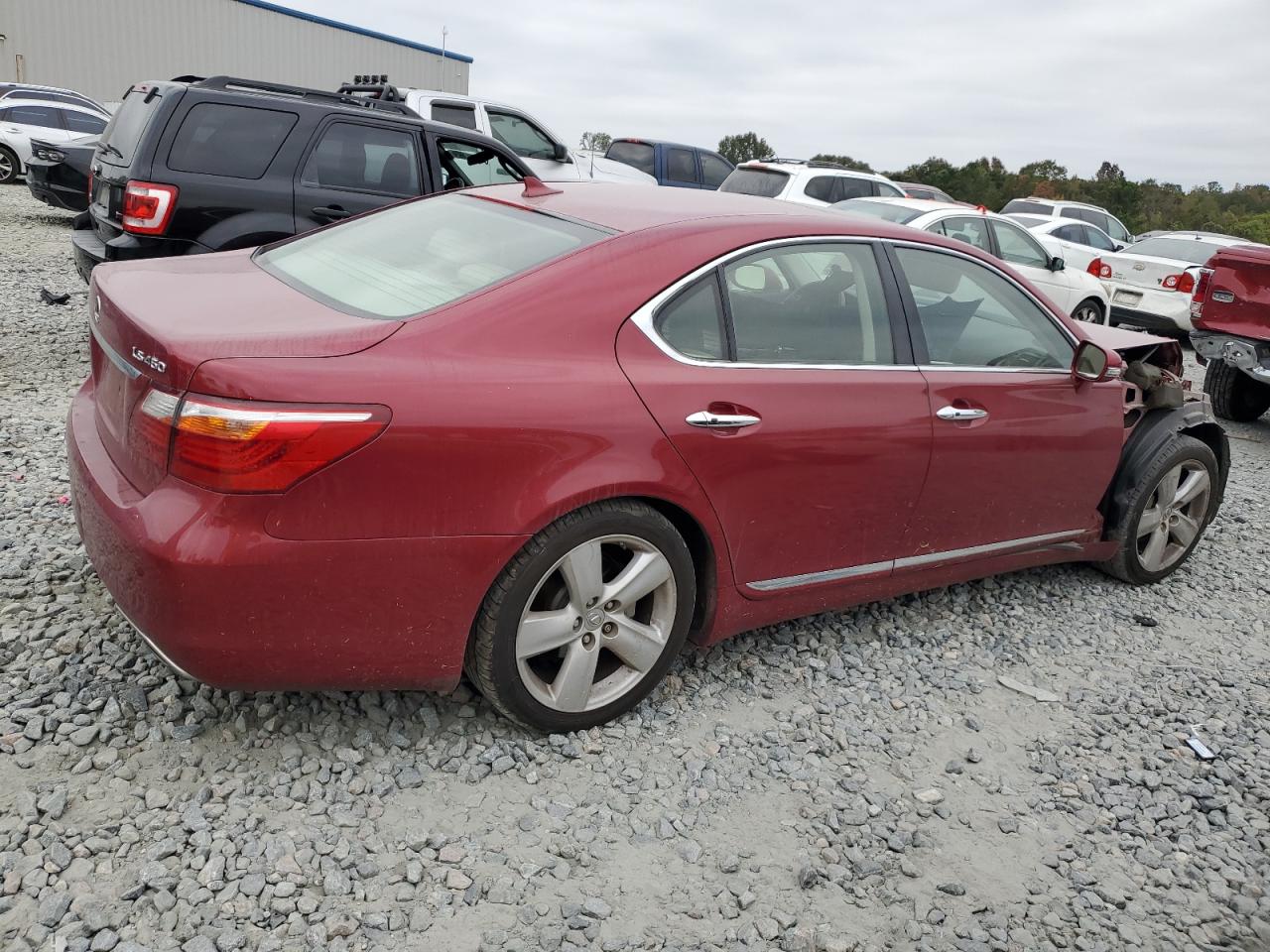 Lot #2938401796 2010 LEXUS LS 460