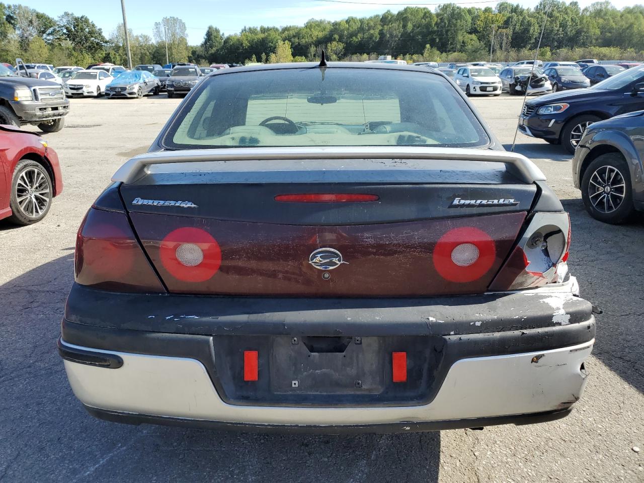 Lot #2954936157 2002 CHEVROLET IMPALA